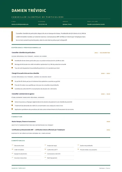 Aperçu A4 du modèle Banque de réseau